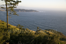 View of SF Bay from Marin